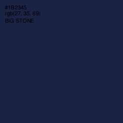 #1B2345 - Big Stone Color Image